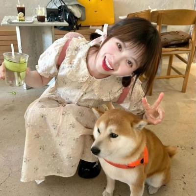 消失的女友